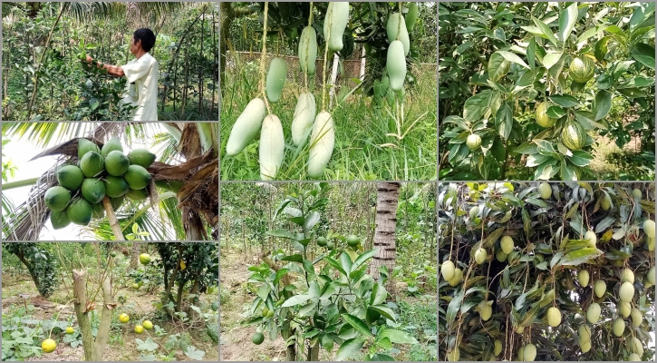 স্বপ্নের বাগান থেকেই সংসার চলে হেম কুমারের